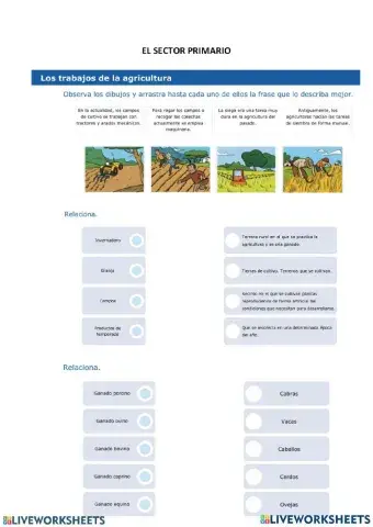 El Sector Primario