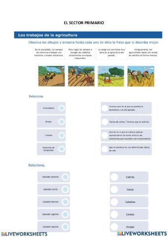 El Sector Primario