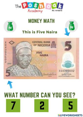 5, 10 - 20 Naira Notes