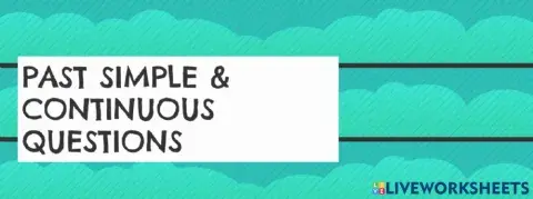 Past simple and continuous questions