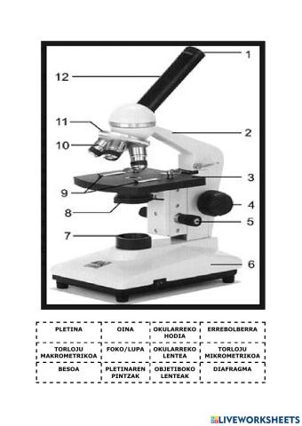 Mikroskopio optikoaren atalak