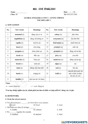 Foreign Teacher-S6-WEEK 8-U3-VOCAB 1