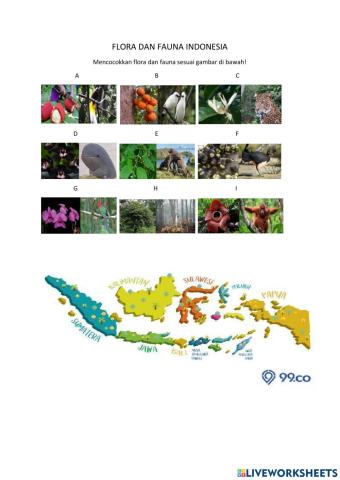 Flora dan fauna di indonesia