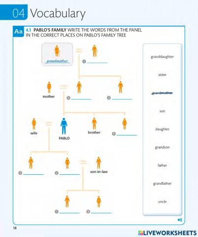 4. Family vocabulary