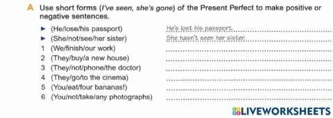 Basic Grammar-13 Present Perfect