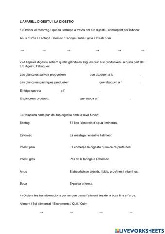 Aparell digestiu i digestió