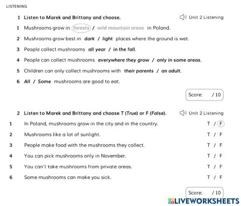 3rd grade Listening Unit 2
