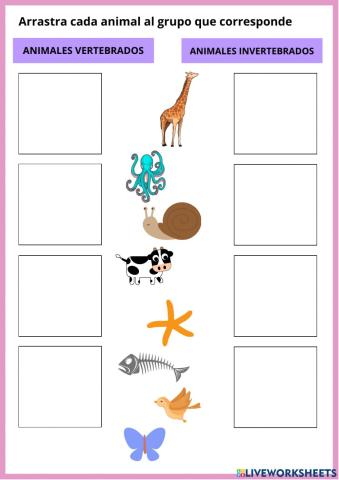 Vertebrados e invertebrados