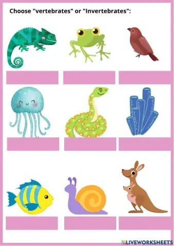 Vertebrates and Invertebrates