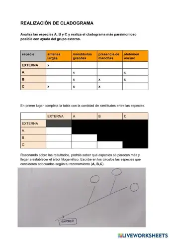 Elaboración de cladograma