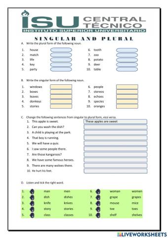 Singular and plural nouns