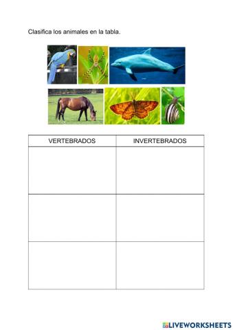 Vertebrados einvertebrados