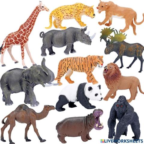 Animals