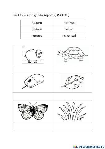 Thn 2 Unit 19 Ms 120