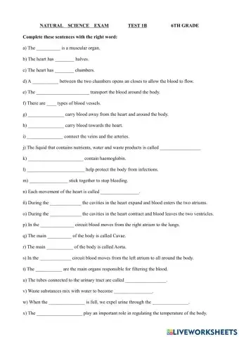 Circulatory and excretory systems