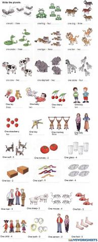 Plurals in English. Regular and irregular