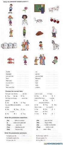 Pronouns and possessives in English