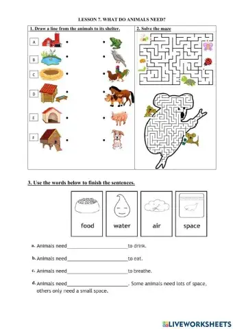Lesson 7. what do animals need