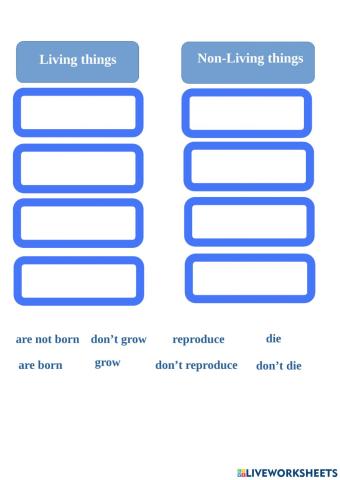 Living things vs Non-Living things