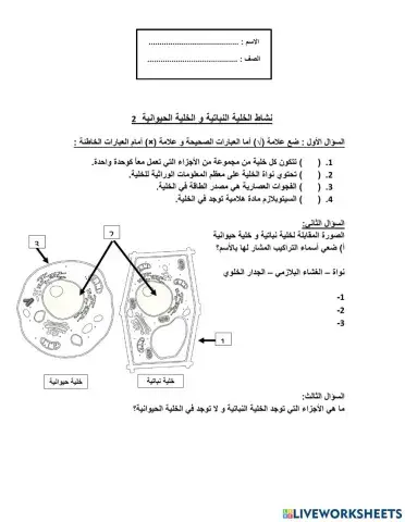 نشاط الخلية النباتية و الحيوانية