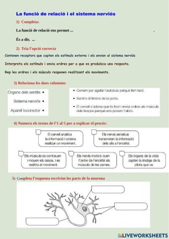 La funció de relació i els sentits