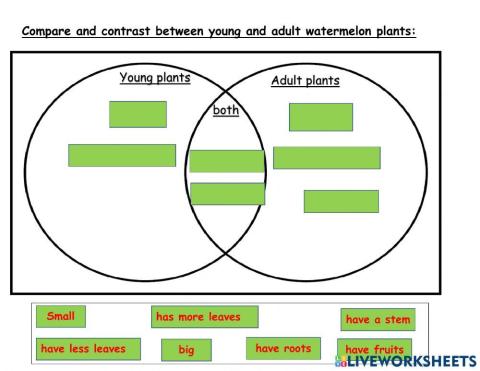 Adult vs young plants