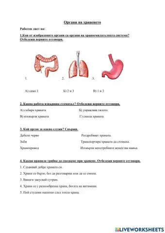 Храносмилателна система