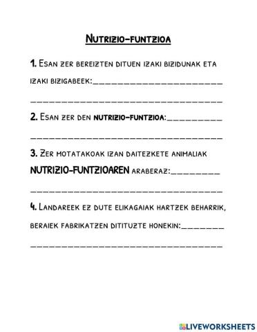 Nutrizio-funtzioa
