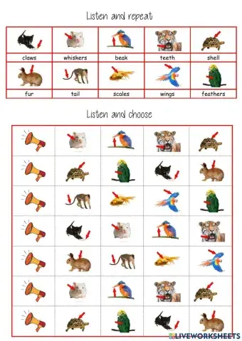 listen and choose part of animal's body tiger 3