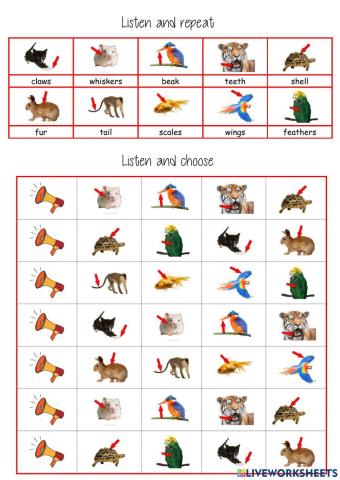 listen and choose part of animal's body tiger 3