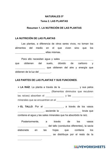 La nutrición de las plantas