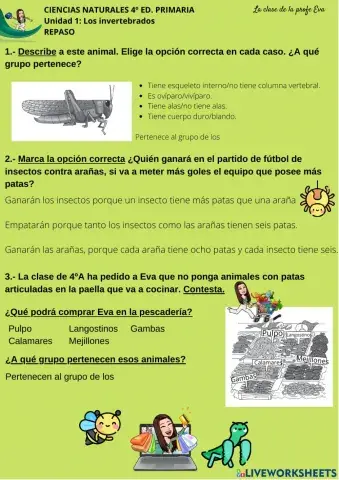 Invertebrados - Repaso