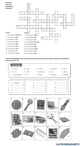 Adjectives and objects