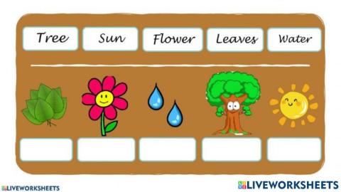 نشاط العلوم 