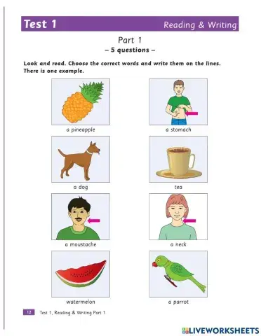 Practice Test 1-Movers (Part 1--4)