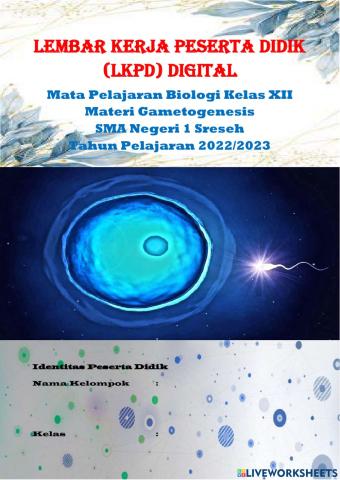 LKPD Digital Biologi (Gametogenesis)