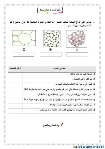 خلايا النبات وأنسجته