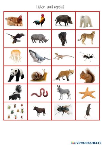 listen and choose wild animals 2