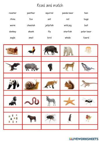 read and match animals 2