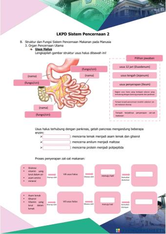 LKPD Sistem Pencernaan 2