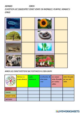 Clasificación seres vivos