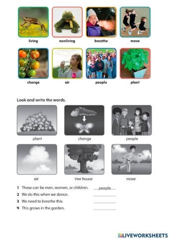 Living things- nonliving things
