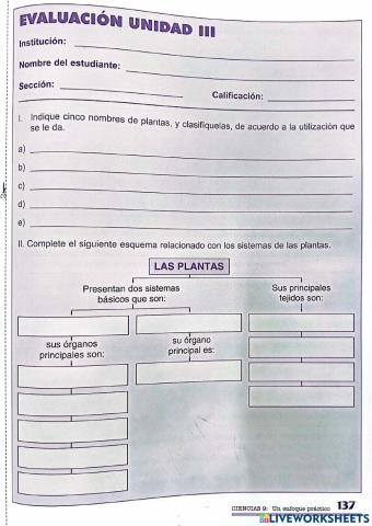 Tejidos y Örganos de las plantas