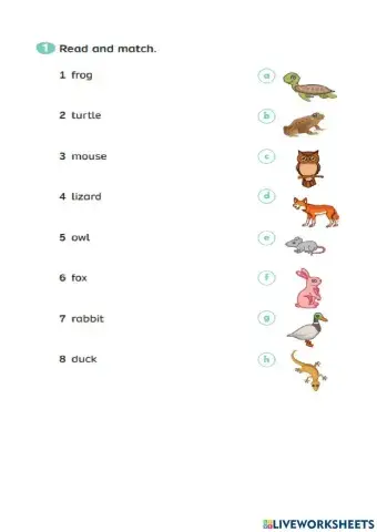 Revision Unit 5-Rise and Shine