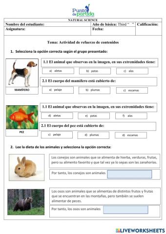 Refuerzo de contenidos del primer parcial