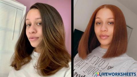 Description Physique