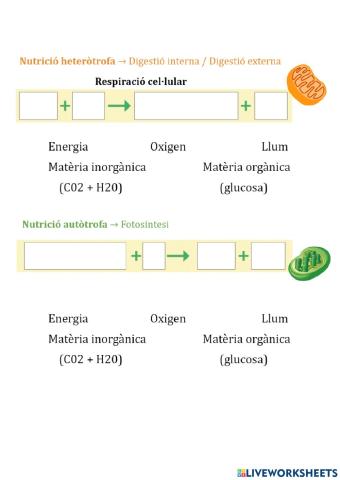 Nutrició cel·lular