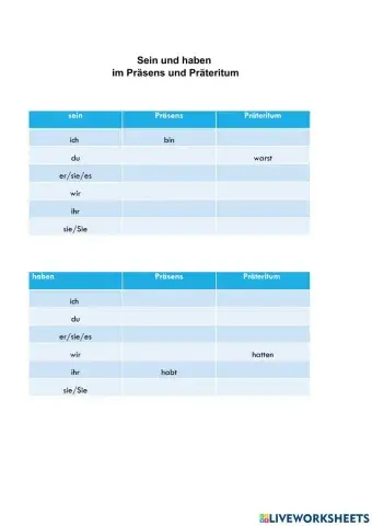 Sein und haben (Präsens und Präteritum)