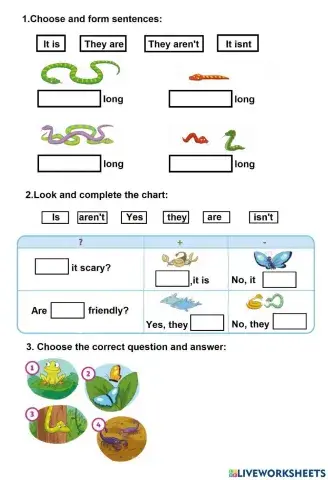 En3-U1-Animals- Open Up 3