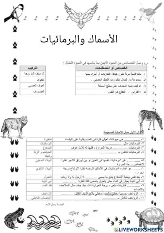 الأسماك و البرمائيات والزواحف